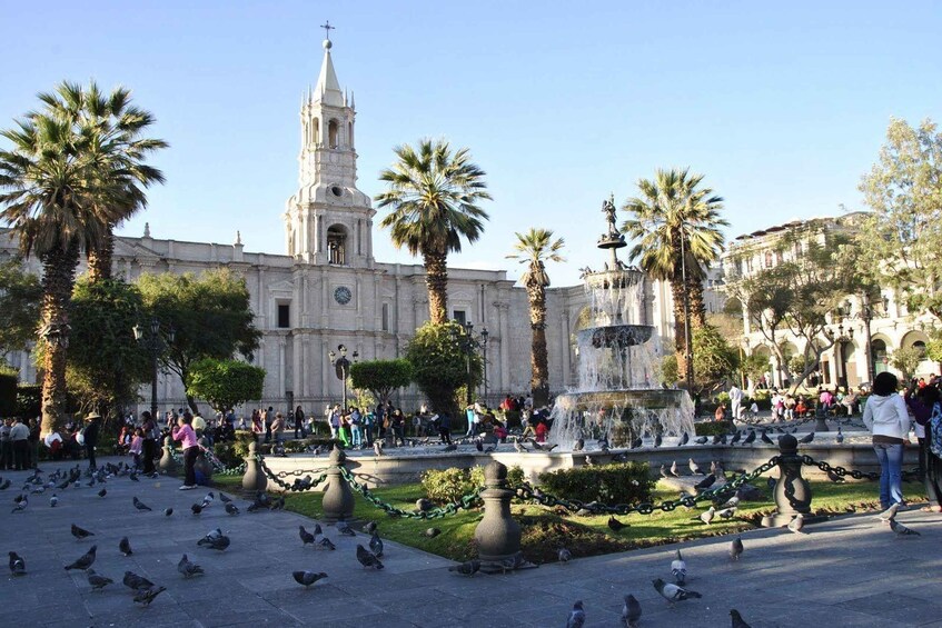 Picture 4 for Activity Guided in Arequipa and the monastery of Santa Catalina