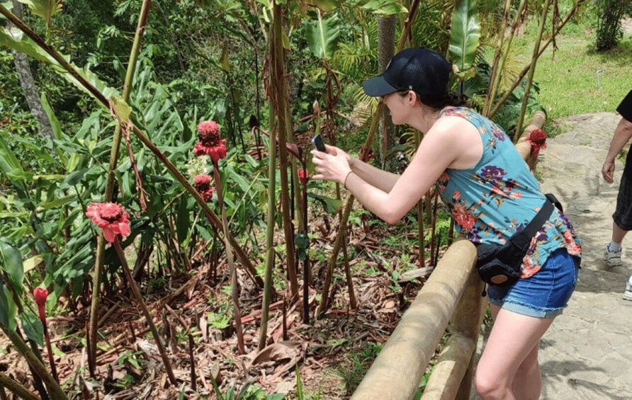 Picture 1 for Activity From Huatulco: Coffee and Mezcal Tour