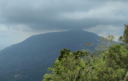 จาก Huatulco: ทัวร์กาแฟและ Mezcal