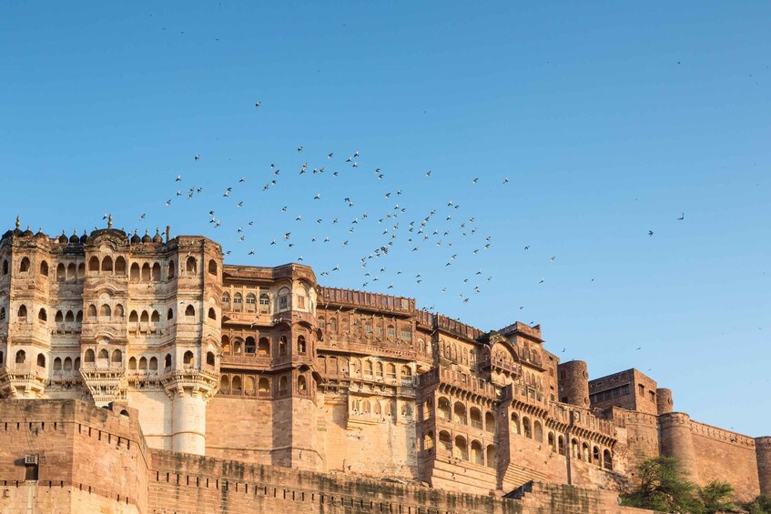 Picture 16 for Activity 8 - Days Jaipur, Jodhpur and Jaisalmer City Tour