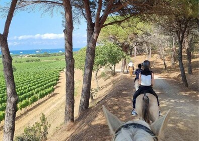 Horse back riding + wine tasting in Ramatuelle