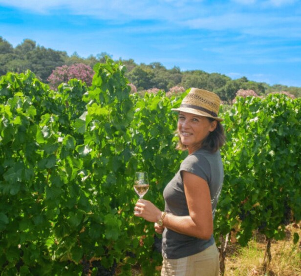 Picture 2 for Activity Horse back riding + wine tasting in Ramatuelle