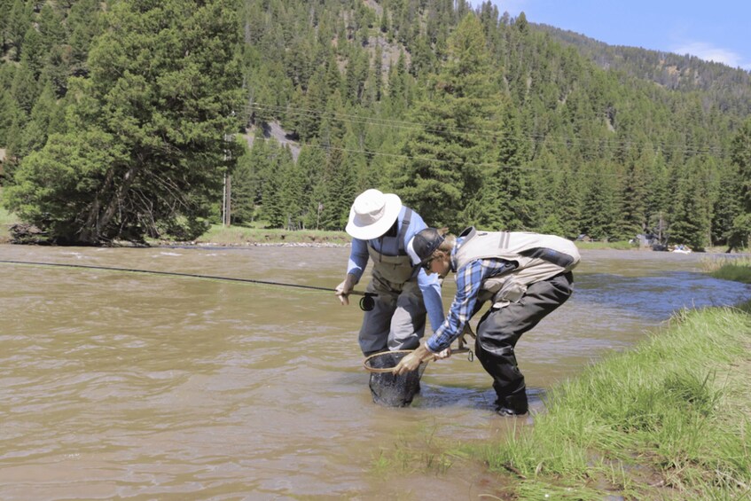 Picture 1 for Activity Big Sky: Learn to Fly Fish on the Gallatin River (3 hours)