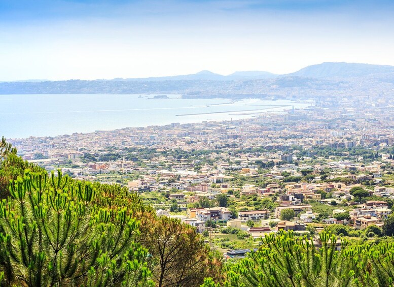 Picture 3 for Activity From Pompeii: Mt. Vesuvius Hike & Tour by Bus