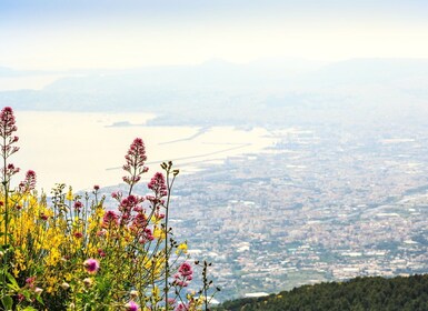 Von Pompeji aus: Vesuv-Wanderung und Tour mit dem Bus