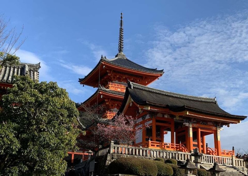 Picture 15 for Activity Kiyomizu Temple and Backstreet of Gion Half Day Private Tour