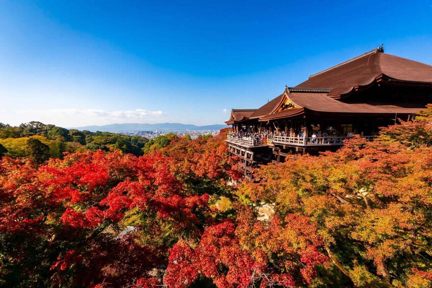 Picture 8 for Activity Kiyomizu Temple and Backstreet of Gion Half Day Group Tour