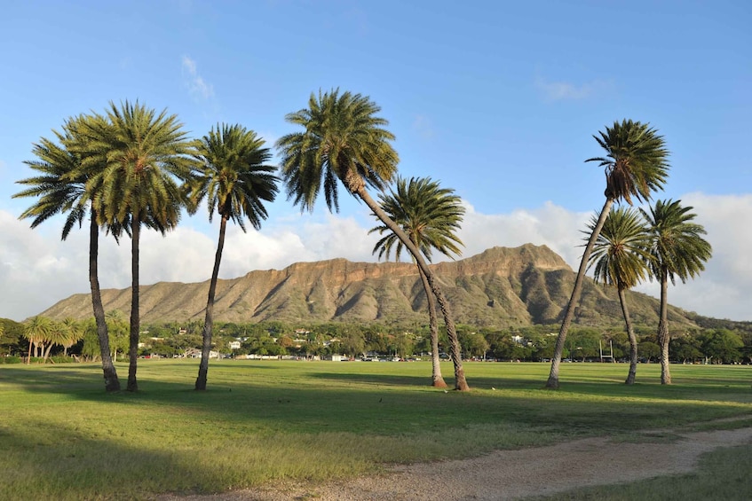 Picture 1 for Activity Oahu: Diamond Head Hike with Roundtrip Transportation