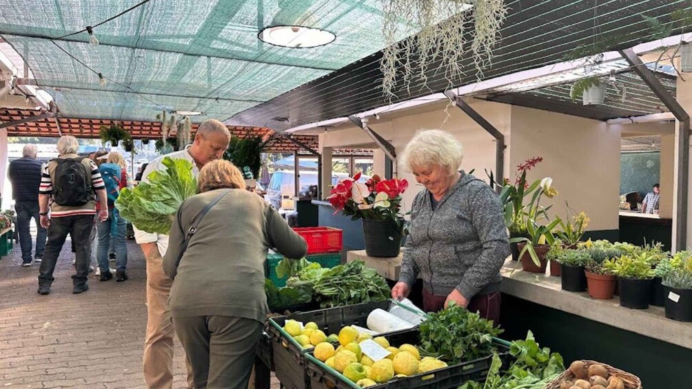 Picture 2 for Activity Half-Day Country Market Tour on Madeira Island