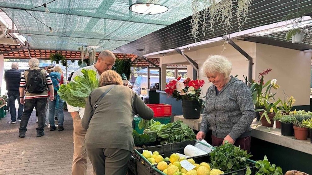 Picture 2 for Activity Half-Day Country Market Tour on Madeira Island