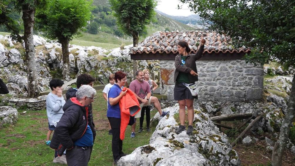 Picture 2 for Activity Cangas de Onís: Lakes of Covadonga Guided Tour
