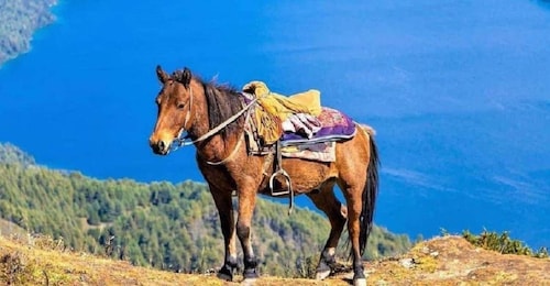 Pokhara: paseo a caballo de 1 hora con recogida en el hotel