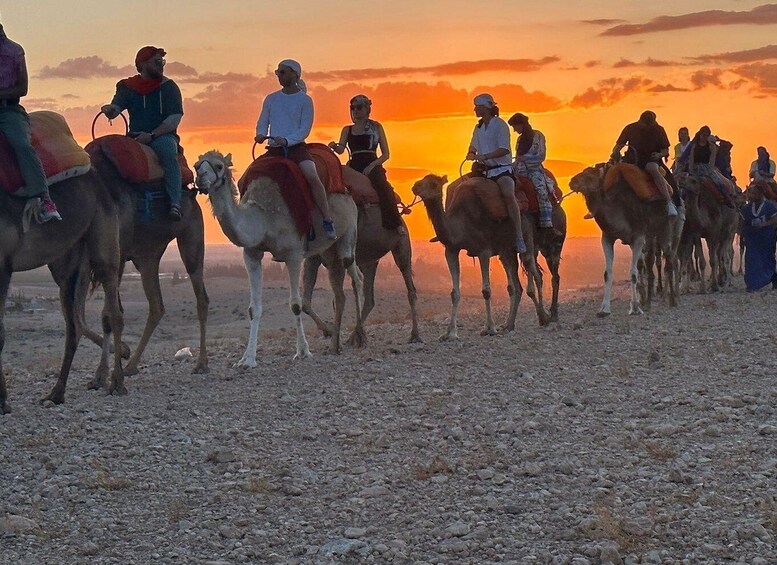 Picture 6 for Activity Authentic Package Buggy Bike Camel Ride, Dinner Show & dance