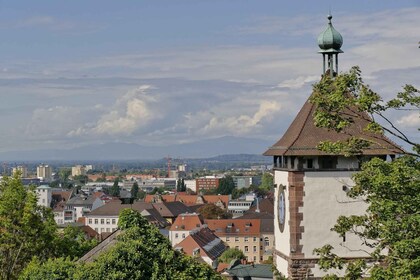 Freiburg: Private Architecture Tour with a Local Expert