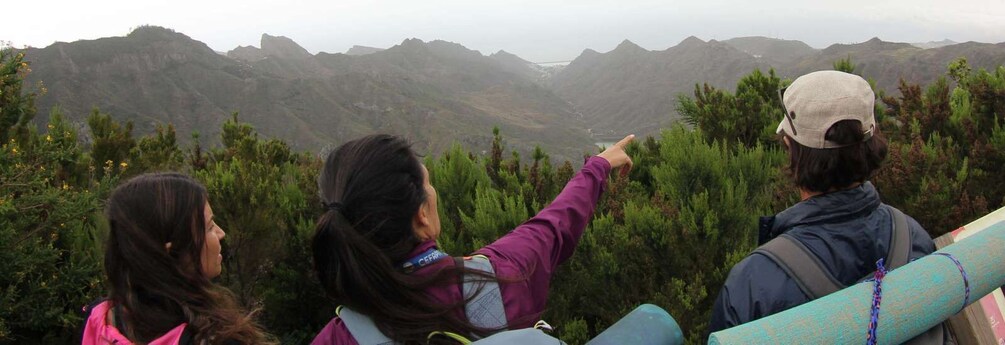 Picture 11 for Activity Tenerife: Guided Mindful Hike in Anaga Biosphere Reserve