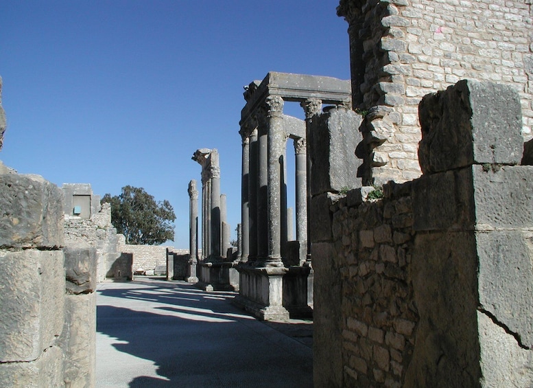 Picture 15 for Activity From Tunis: Bulla Regia & Dougga Archaeologial Tour & Lunch