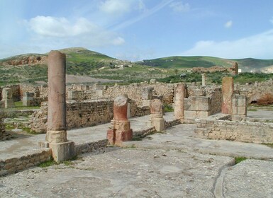 De Tunis : Bulla Regia et Dougga Archaeologial excursion et Lunch