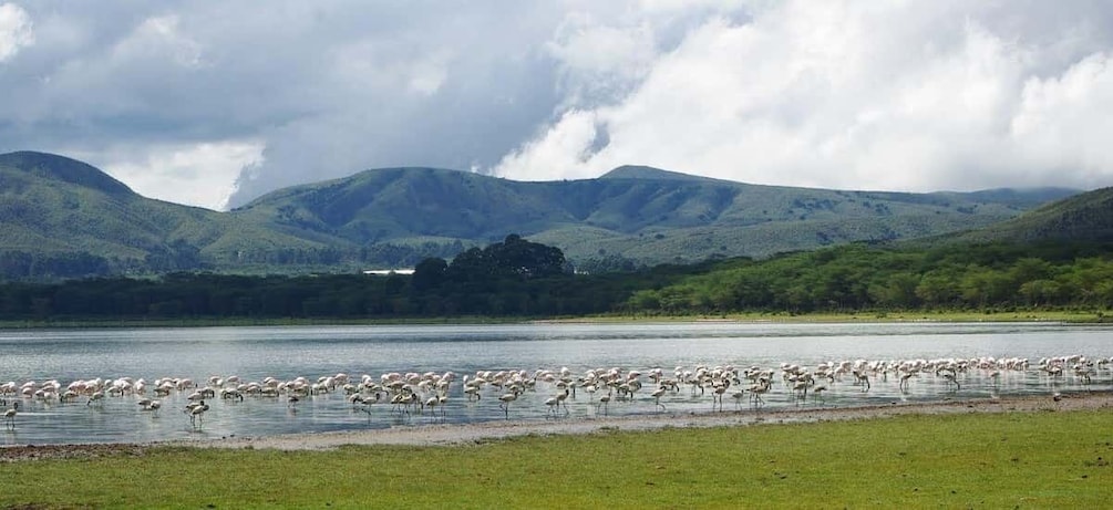 Picture 4 for Activity Day Tour To Mount Longonot Park From Nairobi