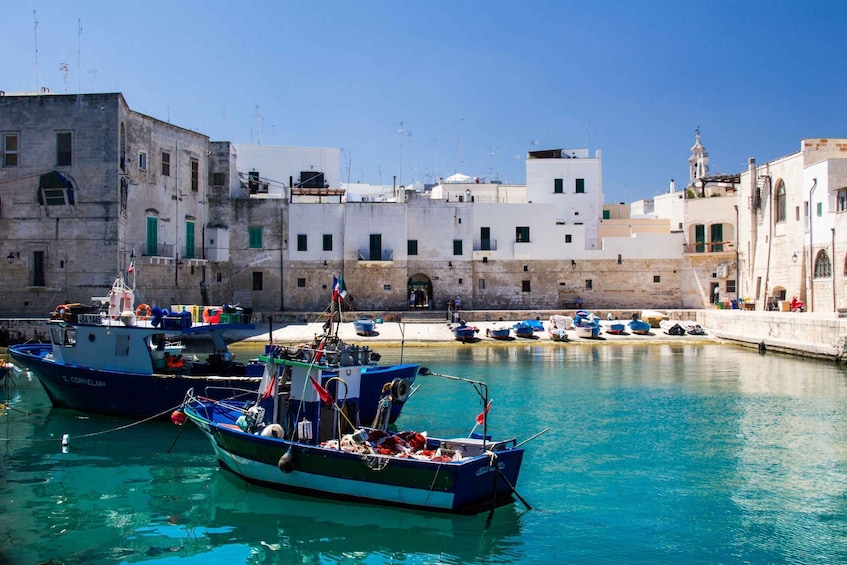 Picture 15 for Activity Monopoli: Private Half-Day Sightseeing Cruise with Aperitif