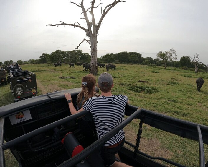 Picture 11 for Activity Kaudulla National Park Half Day Sri Lanka Jeep Safari