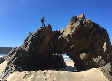 Excursión de 2 días a los lugares más destacados de Tasmania: isla Bruny y ...