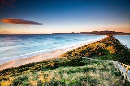 2 päivän Tasmanian kohokohdematka - Bruny Island & Port Arthur