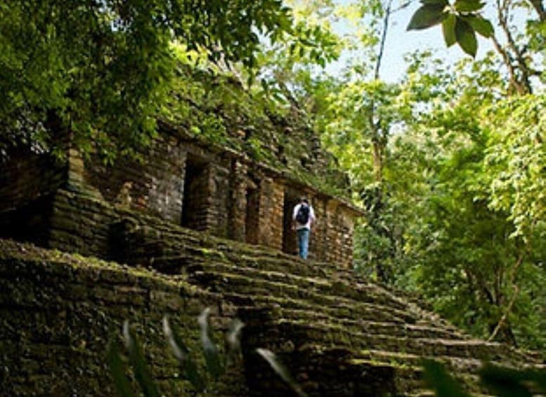 Picture 4 for Activity Palenque: Yaxchilán and Bonampak 1 Day Tour