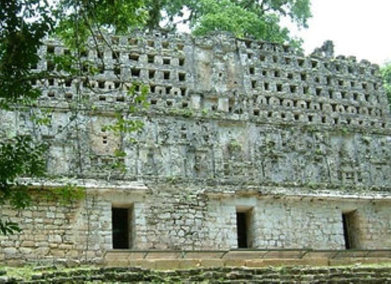 Picture 3 for Activity Palenque: Yaxchilán and Bonampak 1 Day Tour