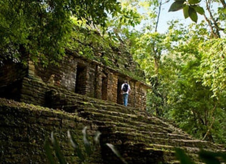 Picture 4 for Activity Palenque: Yaxchilán and Bonampak 1 Day Tour