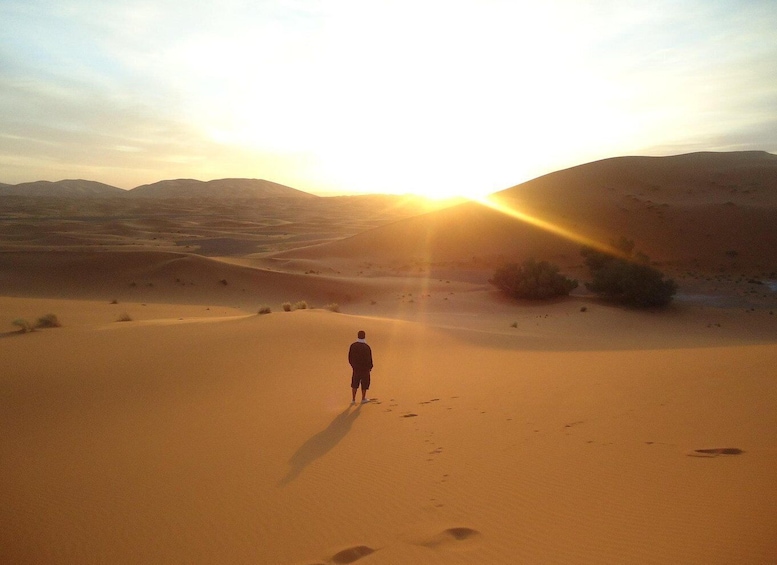 Picture 1 for Activity Doha: Sunrise or Sunset Desert Safari Tour In Heart Of Qatar