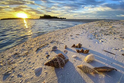 Marco Island:Sunset Boat Tour with Bottle of Champagne