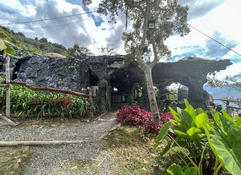 Picture 1 for Activity Medellin birding Arví Forest Cabin