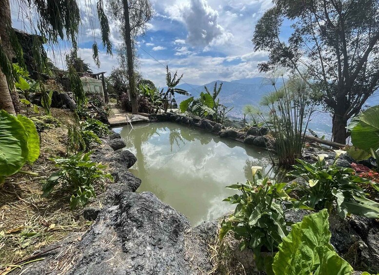 Medellin birding Arví Forest Cabin