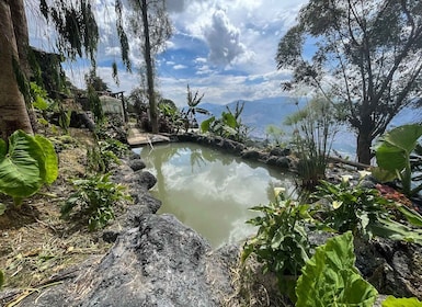 Medellin birding Arví Forest Cabin