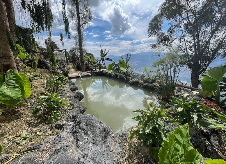 Medellin birding Arví Forest Cabin