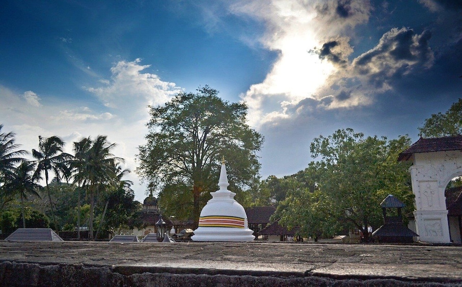 Picture 8 for Activity Kandy, Pinnawala day trip from Bentota, Kalutara beach