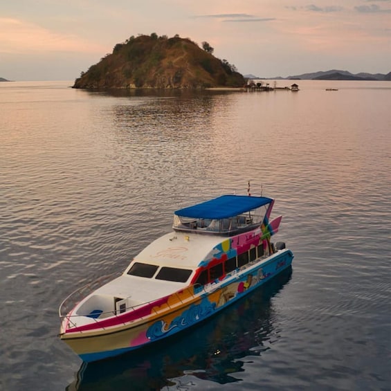 Picture 1 for Activity Labuan Bajo: Day Tour Komodo Island with 4 - 6 Destinations