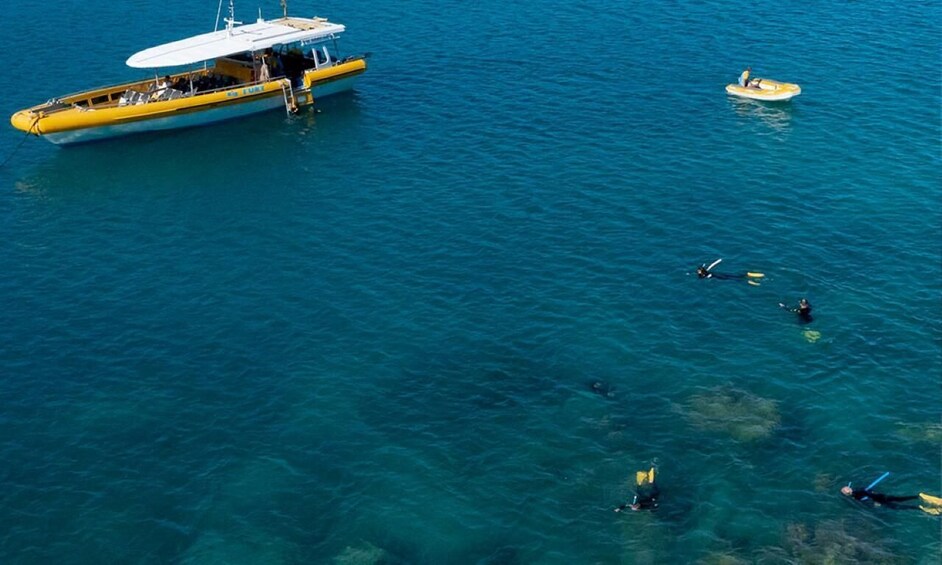 Picture 6 for Activity Whitsunday: Whitsunday Islands Tour with Snorkeling & Lunch