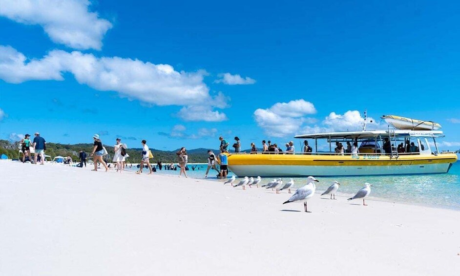 Picture 11 for Activity Whitsunday: Whitsunday Islands Tour with Snorkeling & Lunch