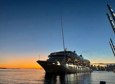 Top Miami Skyline Boat Cruise | Water Tours