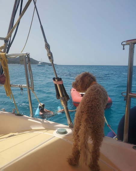 Picture 5 for Activity Sailing excursions in Saint-Florent