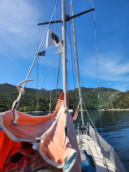 Picture 13 for Activity Saint-Florent: sailing excursions with Sailingmaures