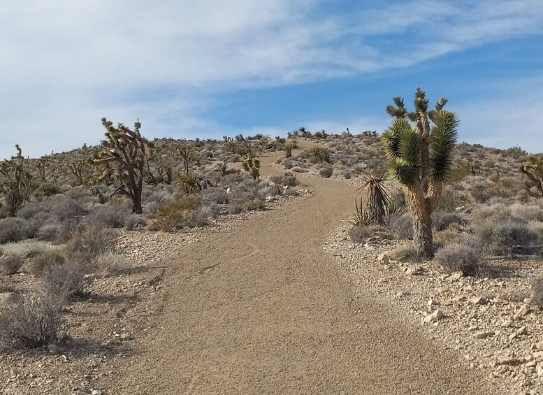 Picture 2 for Activity From Las Vegas: ATV Off-Road Adventure