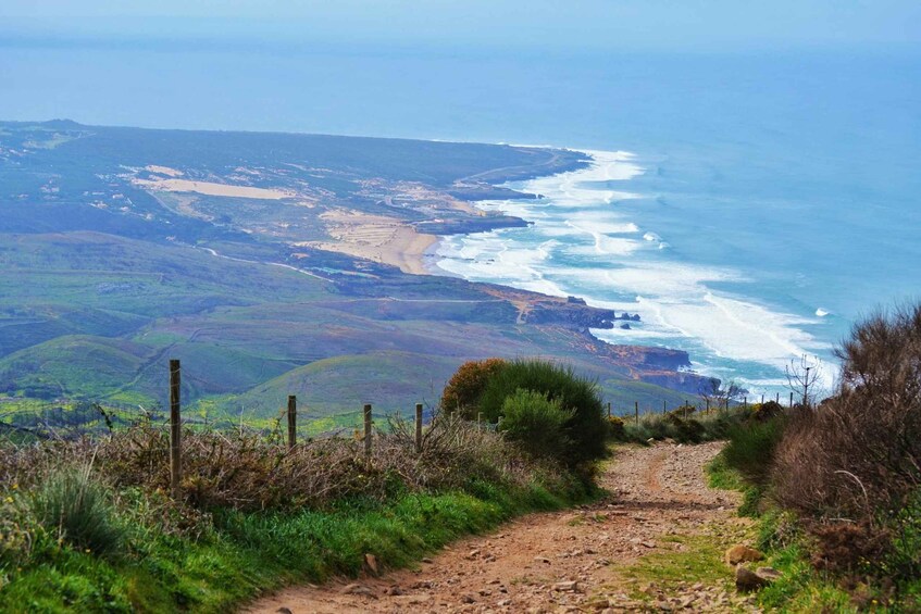 Picture 12 for Activity Sintra, Cabo da Roca and Cascais, Full Day Private Tour