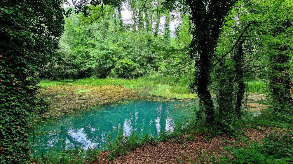 Picture 1 for Activity From Sofia: Zlatna Panega River Hike with Springs Visit