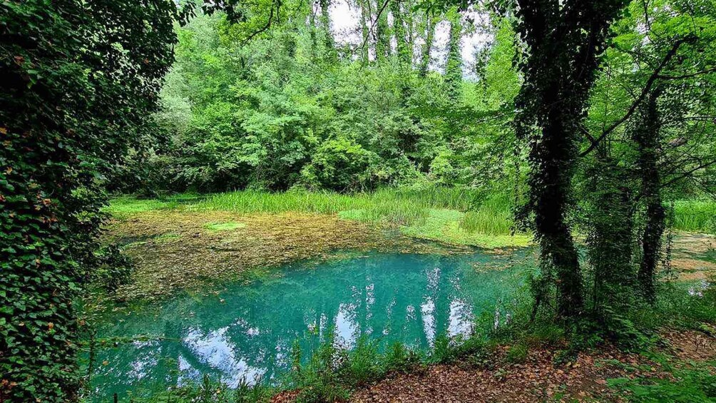 Picture 1 for Activity From Sofia: Zlatna Panega River Hike with Springs Visit