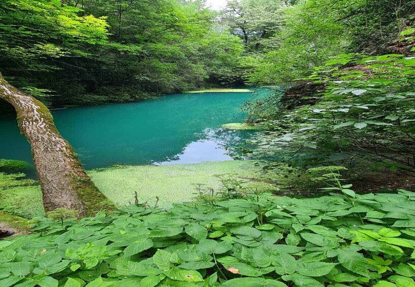 Picture 3 for Activity From Sofia: Zlatna Panega River Hike with Springs Visit