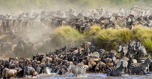 5-Day Wildebeest Migration Serengeti & Ngorongoro Safari