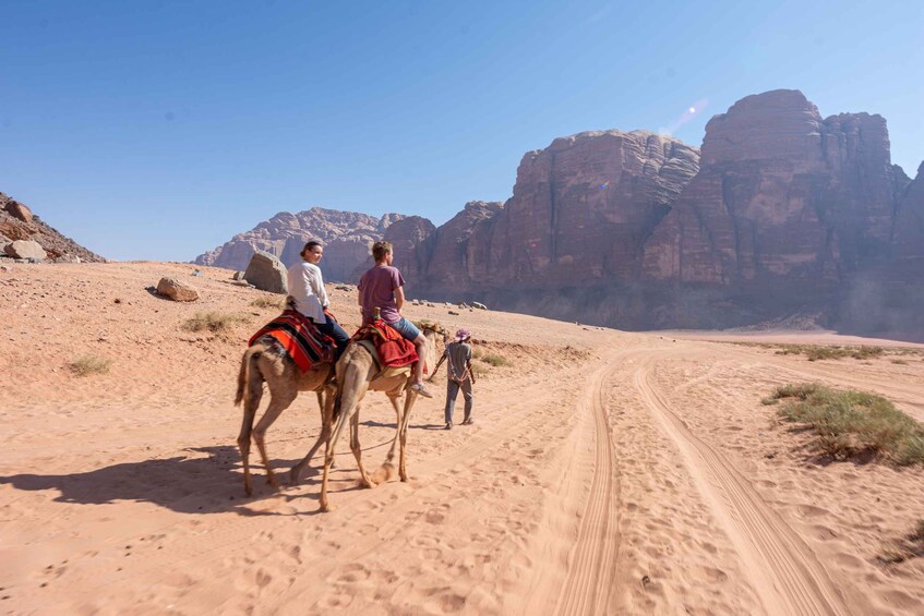 From Wadi Rum: Camel Ride Experience with Tea and Guide