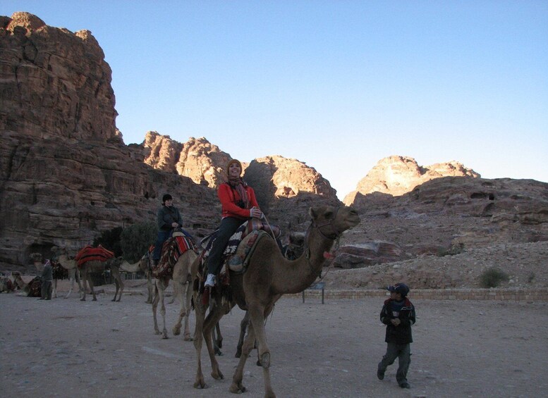 Picture 3 for Activity From Wadi Rum: Camel Ride Experience with Tea and Guide